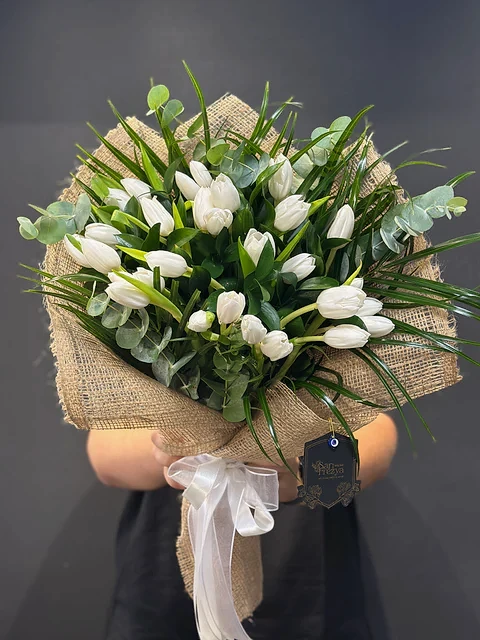 White Tulips Beyaz Lale