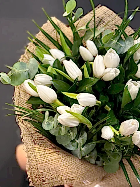 White Tulips Beyaz Lale