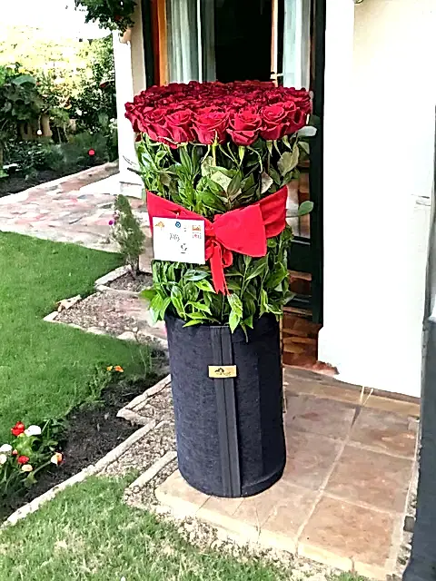 50 Roses Siyah Dev Kutuda